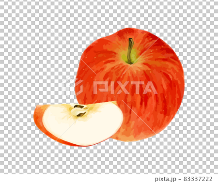 カットされたりんごの水彩ベクターイラスト カットされたりんごの水彩ベクターイラスト 83337222