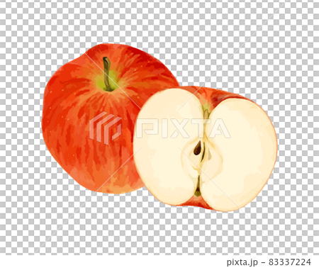 Watercolor vector illustration of cut apples 83337224