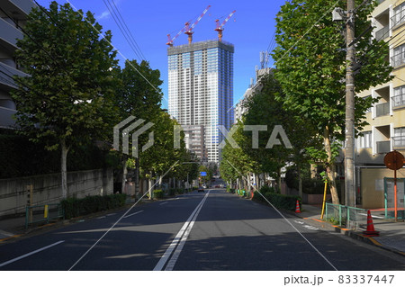 10月　港区1269魚藍坂と白金ザスカイタワーレジデンス･三田四丁目 83337447