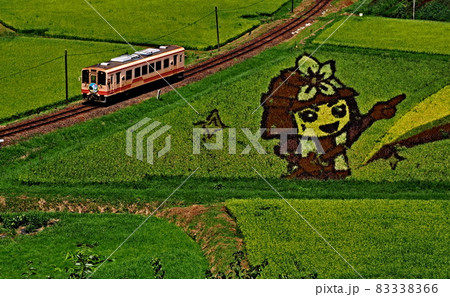 田んぼアート 83338366