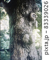 凸凹ツリー 83339026