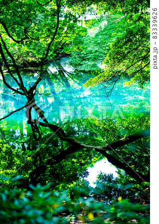 山形県飽海郡の丸池様は鳥海山の湧水の恵 山形県飽海郡の丸池様は鳥海山の湧水の恵 83339626