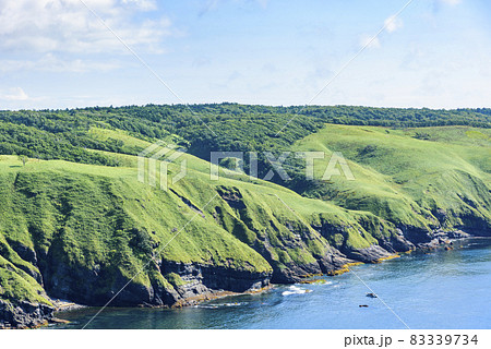 北海道　東部　厚岸のあやめケ原の展望 83339734