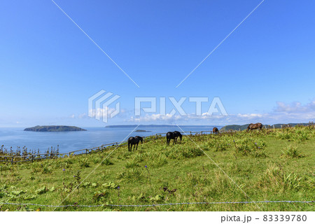 北海道 東部 厚岸のあやめケ原の展望 北海道 東部 厚岸のあやめケ原の展望 83339780