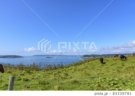 北海道 東部 厚岸のあやめケ原の展望 北海道 東部 厚岸のあやめケ原の展望 83339781