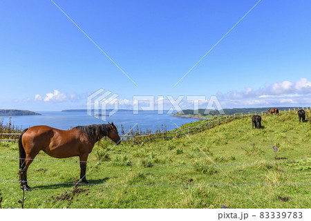 北海道 東部 厚岸のあやめケ原の展望 北海道 東部 厚岸のあやめケ原の展望 83339783