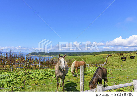 北海道 東部 厚岸のあやめケ原の展望 北海道 東部 厚岸のあやめケ原の展望 83339786