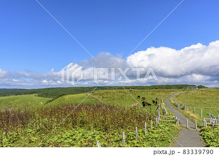 北海道 東部 厚岸のあやめケ原の展望 北海道 東部 厚岸のあやめケ原の展望 83339790