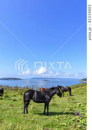 北海道　東部　厚岸のあやめケ原の展望 83339803