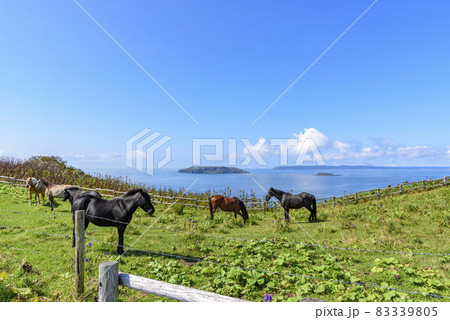 北海道 東部 厚岸のあやめケ原の展望 北海道 東部 厚岸のあやめケ原の展望 83339805