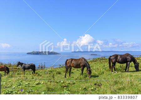 北海道　東部　厚岸のあやめケ原の展望 83339807