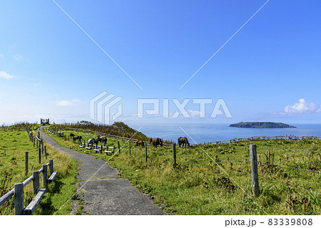 北海道 東部 厚岸のあやめケ原の展望 北海道 東部 厚岸のあやめケ原の展望 83339808