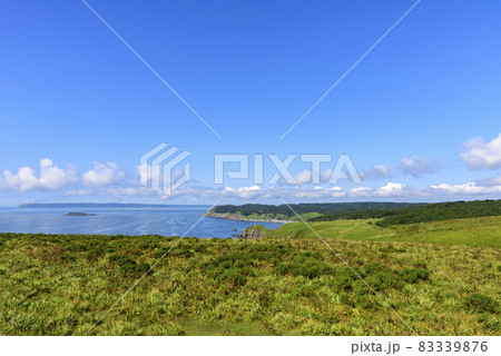 北海道　東部　厚岸のあやめケ原の展望 83339876
