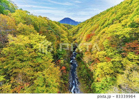 紅葉時期の裏磐梯「中津川渓谷」　中津川橋からの風景　福島県北塩原村 83339964