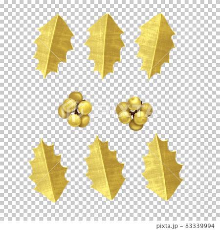 Gorgeous golden holly parts without line drawing Gorgeous golden holly parts without line drawing 83339994