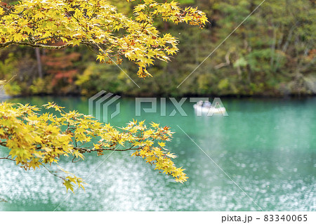 紅葉時期の毘沙門沼(五色沼)の風景 福島県北塩原村 紅葉時期の毘沙門沼(五色沼)の風景 福島県北塩原村 83340065