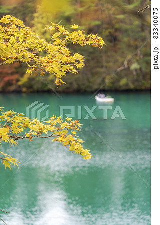 紅葉時期の毘沙門沼（五色沼）の風景　福島県北塩原村 83340075