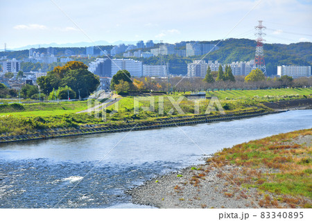 稲城大橋/多摩川より向陽台方面を望む(東京都稲城市)【2021.10】 稲城大橋/多摩川より向陽台方面を望む(東京都稲城市)【2021.10】 83340895