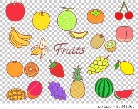 見てわかるイラスト果物づくり 本