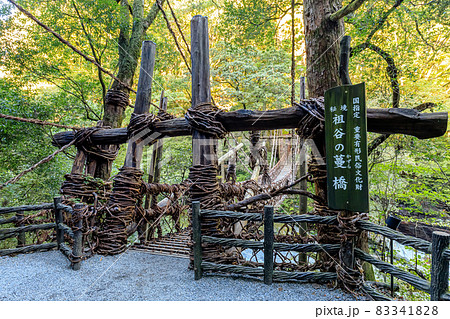 初秋の祖谷のかずら橋　徳島県三好市 83341828