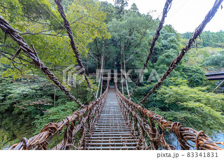 初秋の祖谷のかずら橋　徳島県三好市 83341831