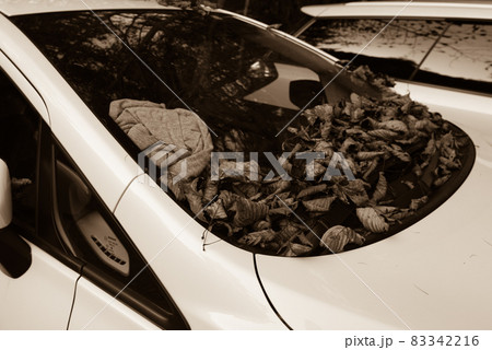 長野阿智村と岐阜中津川の間にある紅葉の時期の日本百名山の恵那山の落ち葉と車 83342216