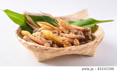 Fresh Kaempferia or fingerroot, Organic herbal plant Fresh Kaempferia or fingerroot, Organic herbal plant 83342396