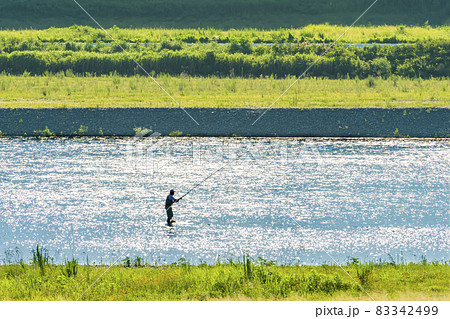 【神奈川県】相模川（あゆみ橋付近） 83342499