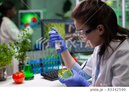 Biologist scientist doctor dropping liquid in petri dish with fungi colony Biologist scientist doctor dropping liquid in petri dish with fungi colony 83342590