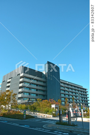 水戸市役所庁舎と周辺の街並み 水戸市役所庁舎と周辺の街並み 83342607