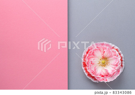 Geometric Composition Background With Pink Poppy Flower 83343086