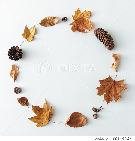 Seasonal autumn or fall decorative frame of leaves and cones 83344427