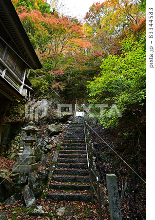 青倉神社の紅葉 青倉神社の紅葉 83344583