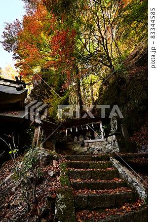 青倉神社の紅葉 83344585