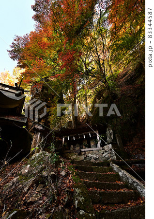青倉神社の紅葉 青倉神社の紅葉 83344587