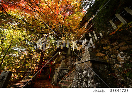 青倉神社の紅葉 青倉神社の紅葉 83344723