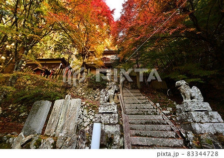 青倉神社の紅葉 青倉神社の紅葉 83344728