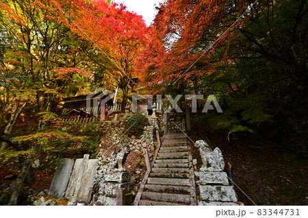 青倉神社の紅葉 青倉神社の紅葉 83344731
