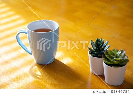 coffee cup and plants 83344784