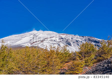 （静岡県）富士山・宝永火口・カラマツの紅葉と雪化粧した山頂 83345140