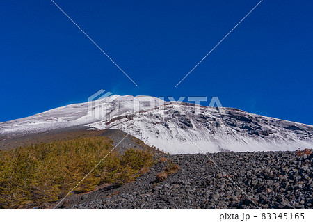 （静岡県）富士山・宝永火口・カラマツの紅葉と雪化粧した山頂 83345165