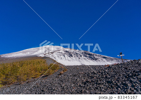 （静岡県）富士山・宝永火口・カラマツの紅葉と雪化粧した山頂 83345167