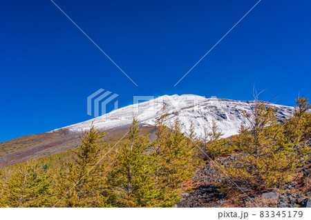 (静岡県)富士山・宝永火口・カラマツの紅葉と雪化粧した山頂 (静岡県)富士山・宝永火口・カラマツの紅葉と雪化粧した山頂 83345179