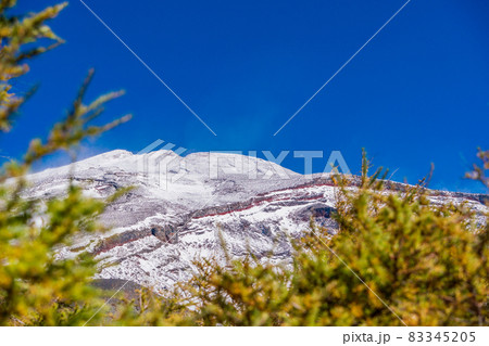 （静岡県）富士山・宝永火口・カラマツの紅葉と雪化粧した山頂 83345205