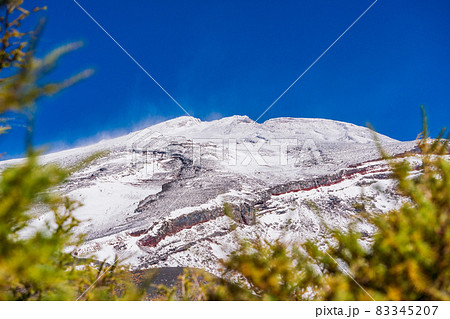（静岡県）富士山・宝永火口・カラマツの紅葉と雪化粧した山頂 83345207
