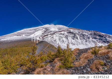 （静岡県）富士山・宝永火口・カラマツの紅葉と雪化粧した山頂 83345212