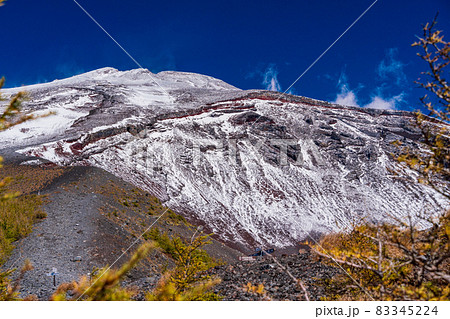 （静岡県）富士山・宝永火口・カラマツの紅葉と雪化粧した山頂 83345224