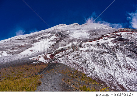 (静岡県)富士山・宝永火口・カラマツの紅葉と雪化粧した山頂 (静岡県)富士山・宝永火口・カラマツの紅葉と雪化粧した山頂 83345227