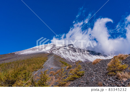 (静岡県)富士山・宝永火口・カラマツの紅葉と雪化粧した山頂 (静岡県)富士山・宝永火口・カラマツの紅葉と雪化粧した山頂 83345232