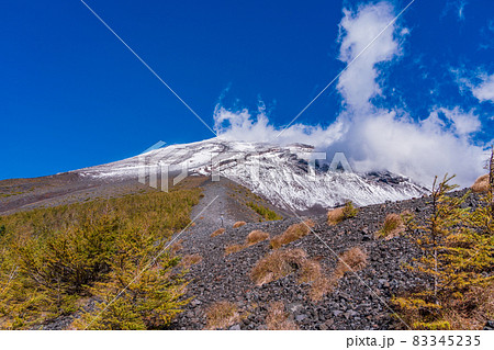 （静岡県）富士山・宝永火口・カラマツの紅葉と雪化粧した山頂 83345235